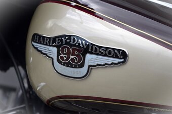 Harley Davidson Ultra Classic Electra Glide 95 th. Anniv. - 6