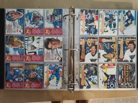 HOKEJOVÉ karty TOP STAV část 1 - 6