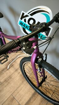 MRX Silene Face 2025 - 6