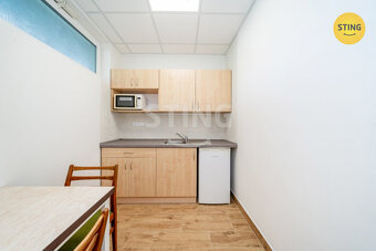 Pronájem luxusních prostor v novostavbě, 209 m2, Ost, 132480 - 6