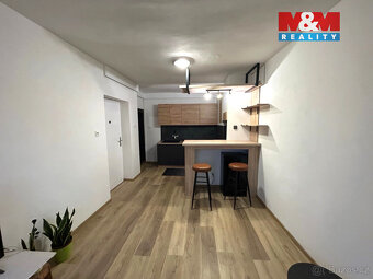 Pronájem bytu 1+kk, 30 m², Milevsko, ul. Masarykova - 6