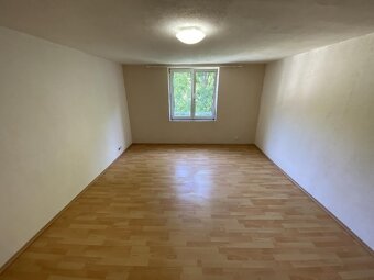 Pronájem bytu cihla 3+KK + 2xsklep, dílna, zahrada - 6