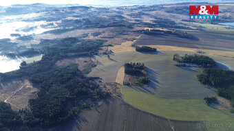 Prodej lesa v Bohdalově - 6