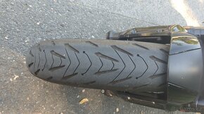 Prodám zánovní Triumph Trident 660 s odpočtem DPH - 6