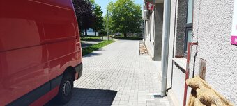 Pronájem skladu/paletové stání až 160 palet - 6
