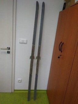 Běžky Dynaflex GSS 200 cm - 6