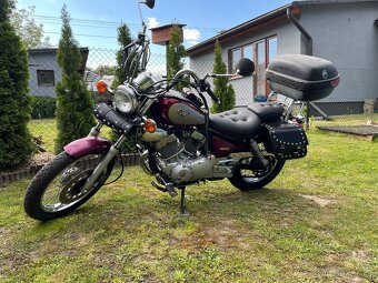 Yamaha Virago xv 250 rok 1995 - 6