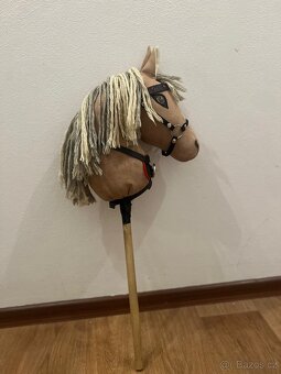 Hobby horse - 6