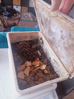 Zaběhnutý vermikomposter do bytu - 6
