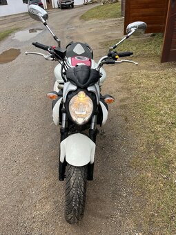 Suzuki Gladius 650 - 6