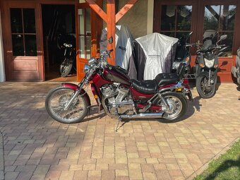 Suzuki VS800GL Intruder - 6