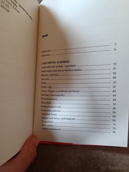 Zápisník alkoholičky - 6