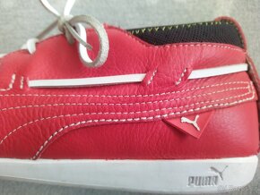 Puma - 6