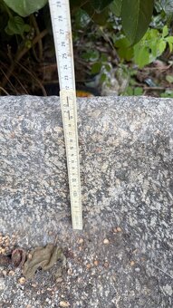 Stírka / kaménka / koryto kamenné - 6