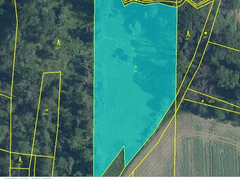 Pozemek u Trnobran, okr. Ltm, přes 7.800 m2 za 250.000 Kč. - 6