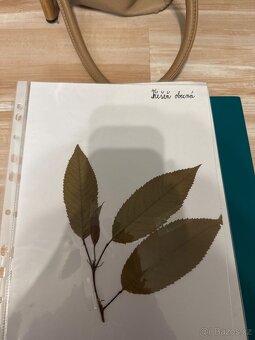 Herbář - 6
