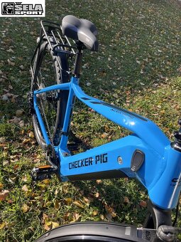 Checker Pig E-MTB ActivePig Diamant Bosch Performance 625 Wh - 6