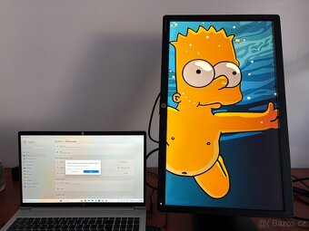 HP EliteDisplay E231 - 6
