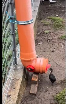 Automatické krmítko pro slepice, Vsetín - 6