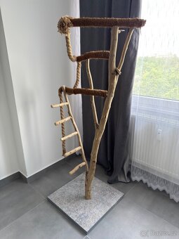 Amazoňan Žlutolící kluk a holka s kleci a stromem - 6