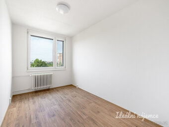 Pronájem bytu 2+kk, Jakobiho, Petrovice, 42 m2 - 6