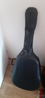 Kytara -Václav Zoubek - 6