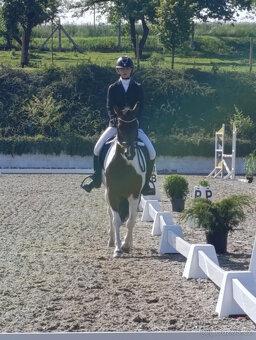 sportovní pony kat.B - 6
