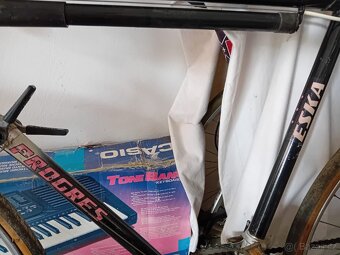 Prodám kolo Eska Progres - 6