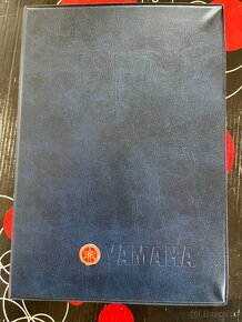 Yamaha Aerox - 6