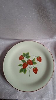 STARÉ SERVÍROVACÍ-RETRO TALÍŘE 5 KUSŮ - 6