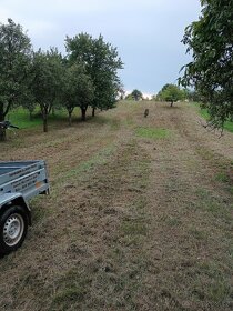 Zahradní a lesní práce -sečení,mulčování, údržba pozemků - 6