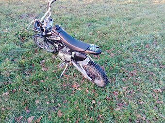 Pitbike 110 cm - 6