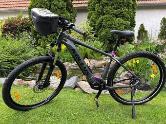 Kellys Tygon, Tayen- r10 2020 - 6