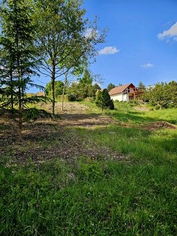 Predáme chalupu s obrovským pozemkom - 6