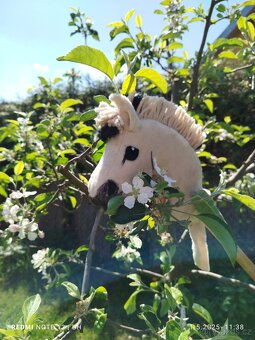Hobby horse - 6