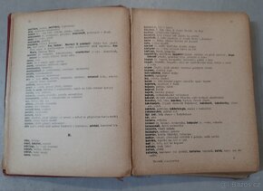 Starožitná kniha Novinářský slovník r. v. 1910 - 6
