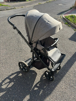 Roan Bass Next Titanium - 6