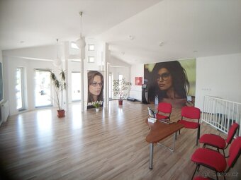 Pronájem nebytových prostor ve Veselí nad Lužnicí - 6