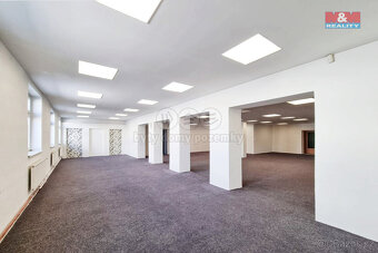 Pronájem obchod a služby, 370 m², Ostrov, ul. Krátká - 6