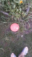 Pivní jeskyně , originální dárek pro muže. NOVÉ 20cm prumer - 6