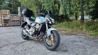 Honda Hornet CB600F (21 000Km) r.v. 2011 - 6