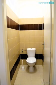 Pronájem bytu 1+1, 62m² - 6