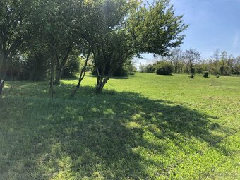 Pronájem zahrady ve Zdibech – 500 m², krásné prostředí - 6
