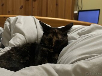 Zoe a Meggie - 6