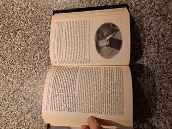 Královský pitaval: Kralovraždy ve světových dějinách - Ervín - 6