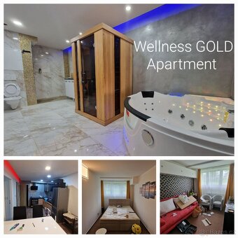 Wellness GOLD apartment Praha 4 na metru Háje - 6