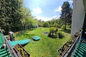 Hlídání pejsku - 6