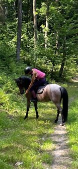 Pony A - Merci - 6
