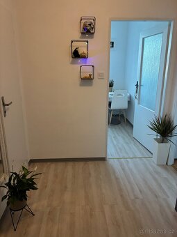 Pronájem bytu Nové Město na Moravě, ul. Tyršova - 6