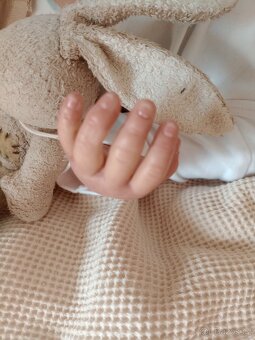 Reborn Valentina - 6